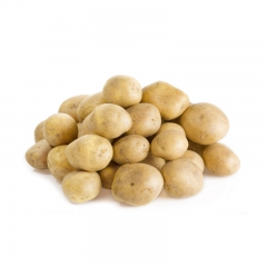 土豆（450g—500g）