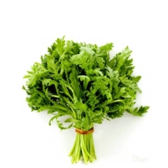 茼蒿（300g—350g）